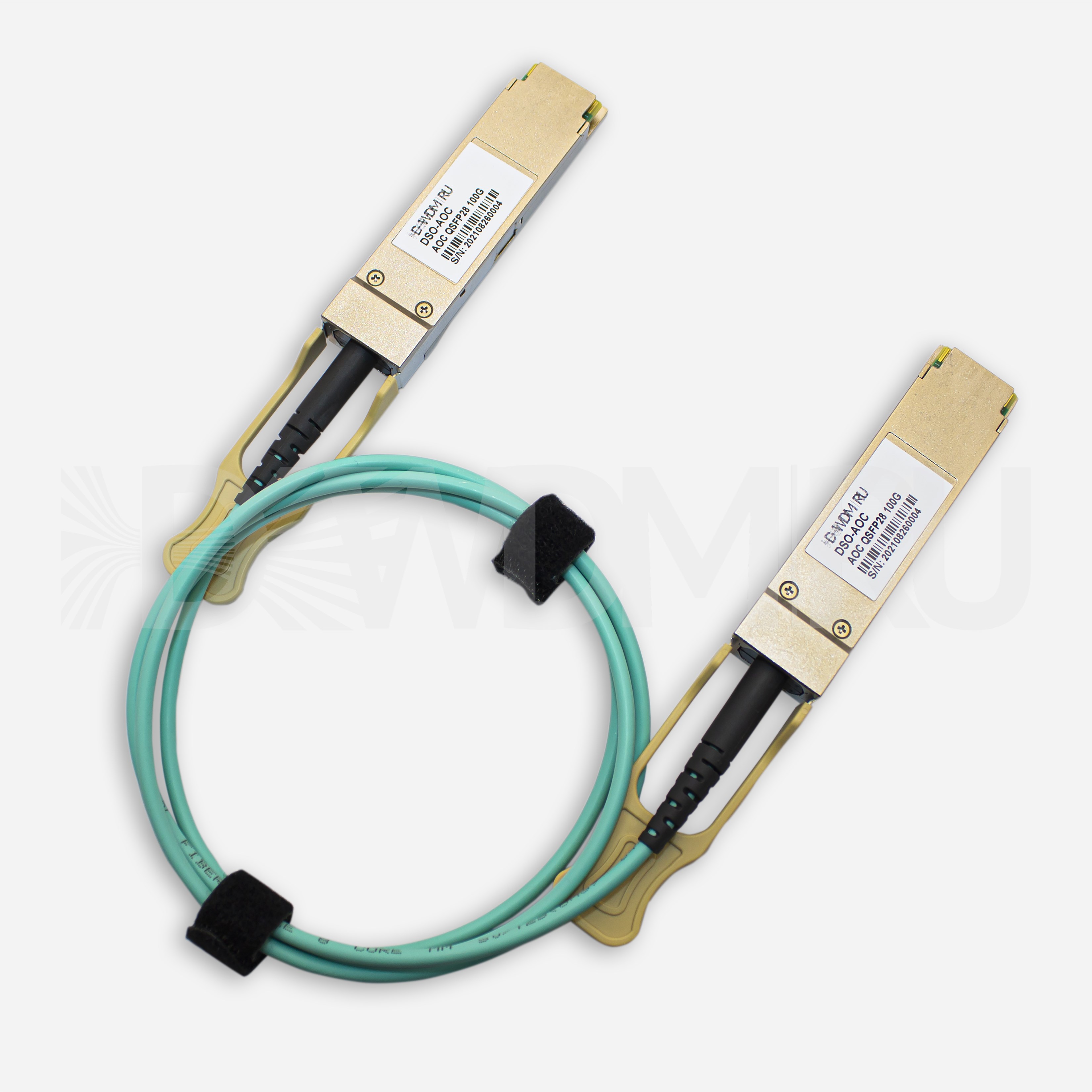 Active Optical Cable, QSFP28, 100 Гб/с, 1 м- ДВДМ.РУ (DSO-AOC-100-3)